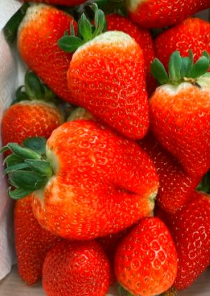 Fresas (500g)