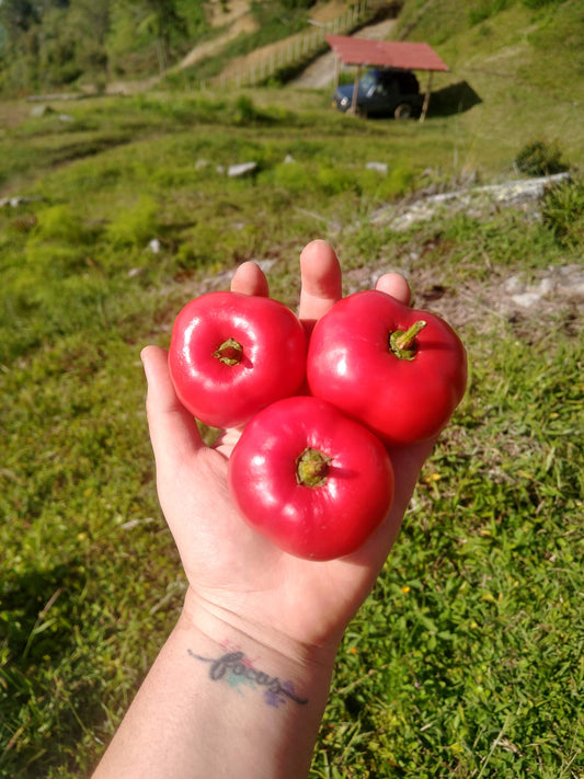 Ají rocoto (300g)
