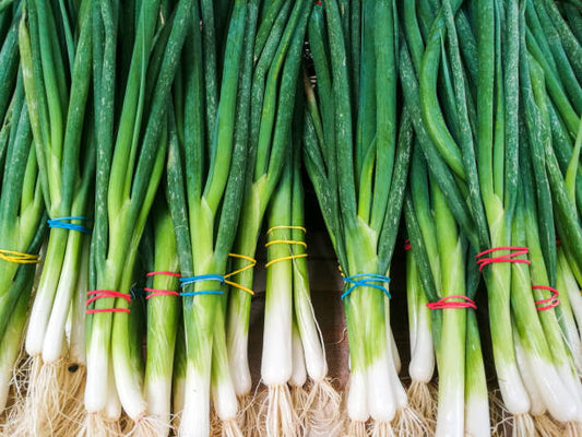 Cebolla Junca (250g)