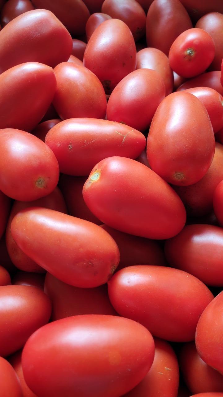 Tomate san marzano (1kg)