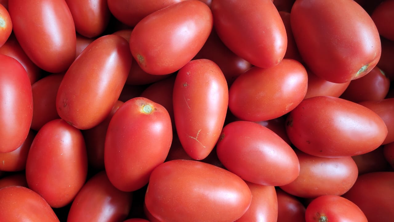 Tomate san marzano (1kg)