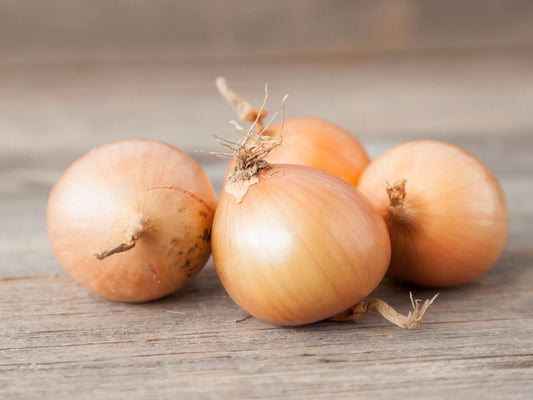 Onion Seed (1g)